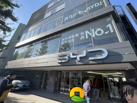 在日本，什么人在买电动车？探秘岛国EV消费的独特生态-3