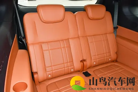 深蓝 S09 破局记：新能源大型 SUV 市场 “现象级” 车型的圈粉逻辑-2