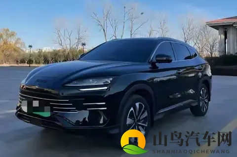 小罗莉无套内谢2O2O:智能驾驶新篇章,科技革新引领绿色出行-2