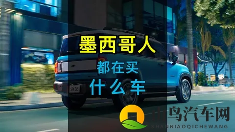 第22期：墨西哥人都在买什么车？-3