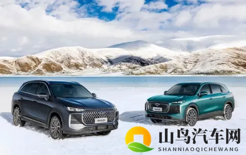 新一代瑞虎8买车攻略：直接冲顶配-2