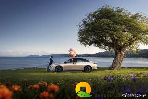 入月丁香几月婷婷:月色丁香映春景,婷婷花影舞风中-2