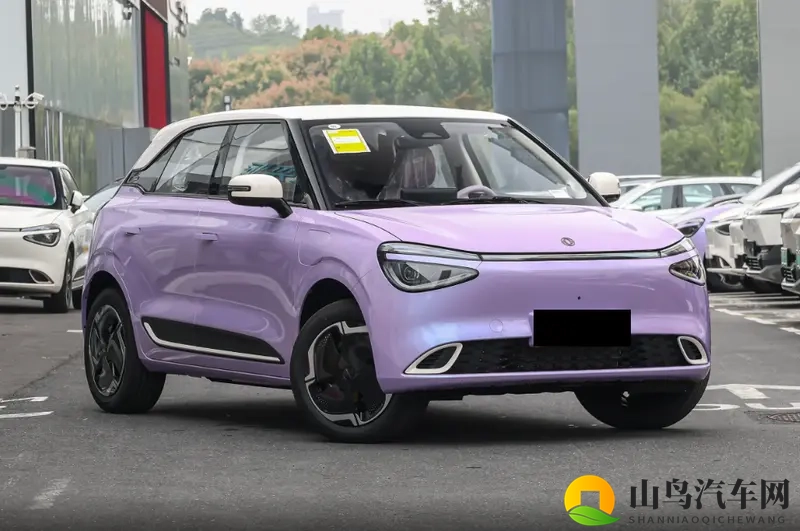 幻影紫车漆挺时尚,这车新增无框车门,为了火豁出去了-1