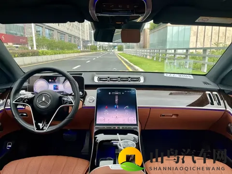 男同网站：新能源汽车崛起，时尚环保成新趋势-2