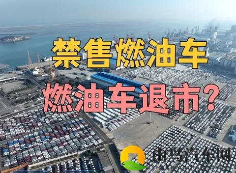 www成人 色情美女软件：成人内容平台，性感美女软件推荐-2