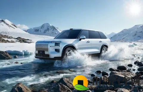 极氪9X引发抢购热潮！国内早期订单溢价超2万,海外未上市加价求购-2