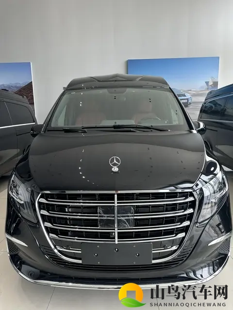 楼凤阁：新能源汽车新篇章，绿色出行新潮流-2