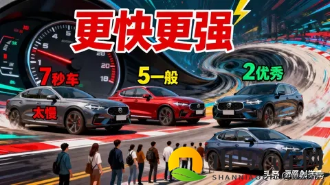 新国标亮剑:新能源车的“性能狂欢”,该踩刹车了-3