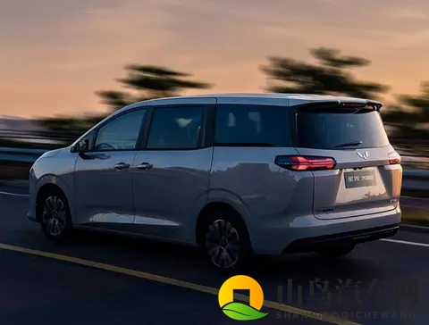 空间争夺战开打，六款MPV扎堆上市，谁在赌未来？-1