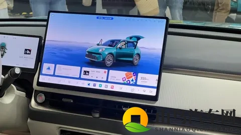 欧拉5预售:1098万元起的“光芒搭子”,能否照亮欧拉品牌的前路-3