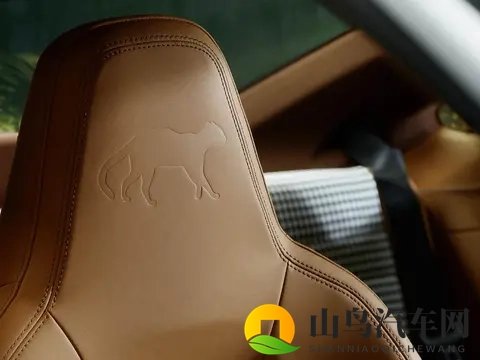 保时捷911 GT3 Touring Ocelot官图发布：全球限量1台-2