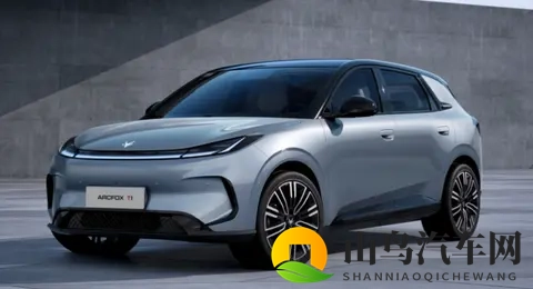 2025年前9个月爆款车型top10-1