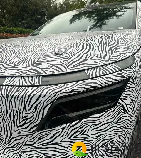 日产新车曝光，中国团队操刀，日系车要翻身？-3