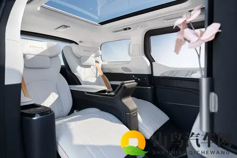 限时权益再次加码，极氪 009 如何影响高端MPV市场走势？-3