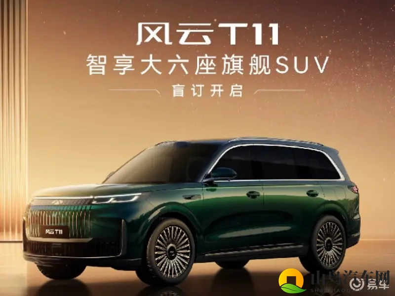 奇瑞风云T11正式预售:19.99万元起,-1