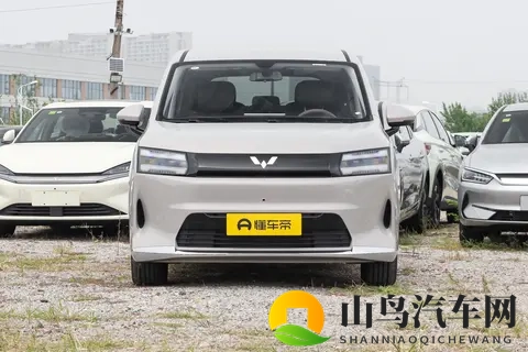 家用MPV别乱买,星光 730这款10万级新车空间大,动力足,实在-2