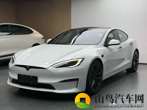 特斯拉价格博弈：一场关于消费选择与权力的游戏-1