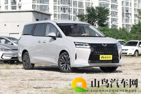 五菱星光730：10万级大七座全家满意，亲民价格真实在！-1