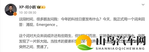 市场是否需要重估小鹏？-2