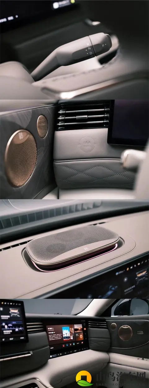 男人搞母狗一般什么心理母狗可以代:新能源汽车新宠:母狗代步车为何受男性青睐?-1