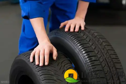 10万级车换米其林轮胎，是“人傻钱多”还是理性选择？看完秒懂！-3