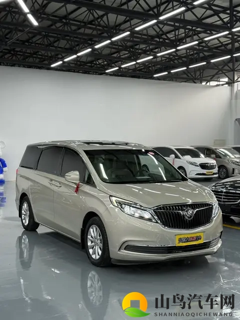 开了五年的别克GL8，当年落地近30万，现在13万多就能拿下？-1