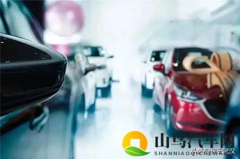 河南亲戚紧急来武汉，贡献了20万GDP！-3