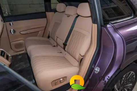 20 万左右，家用新能源 SUV 这台车能用，还能用，值得选吗？-3