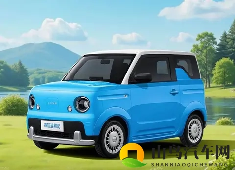 续航突破210km，8英寸大屏，全新睿蓝新车女生完全抵抗不了-2