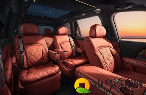 累计第30万辆_岚图泰山正式下线 将于11月18日上市-3