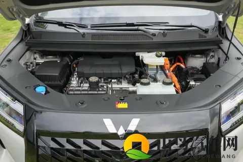 73万元起,星光730:三种动力+舒适大7座,五菱又行了-3