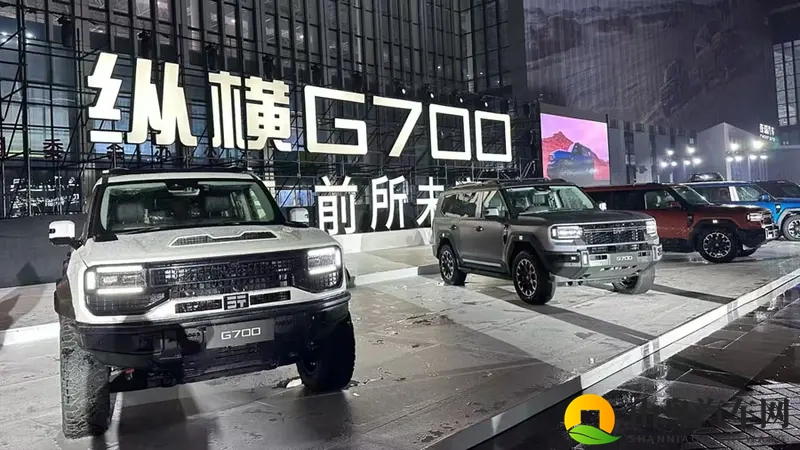 国产伦理的岳:汽车新纪元:国产品牌伦理崛起之路-2