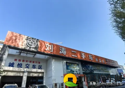 新能源购置税减半落地，泸州车友该如何把握？-3