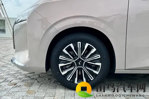 不到8万买家用大七座，油、电、混动全都有！-1