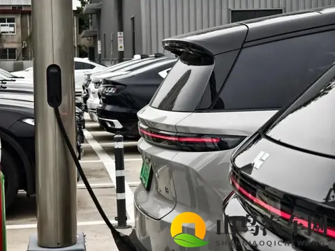 准备换电车的朋友,不要急,明年你可能会感谢我,都是真心话!-1