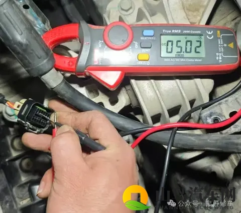 老师的兔子又大又圆：汽车设计新潮流,圆润造型为何再度崛起-3