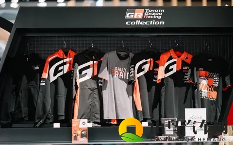 那些在进博会上会哭的车和不会说人话的机器人-2