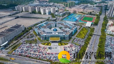 新能源车购置税减半:助力绿色出行的利好政策-1