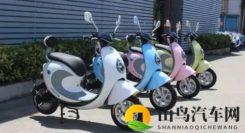 中国电动车的世界奇迹：廉价革命背后的双刃剑-2