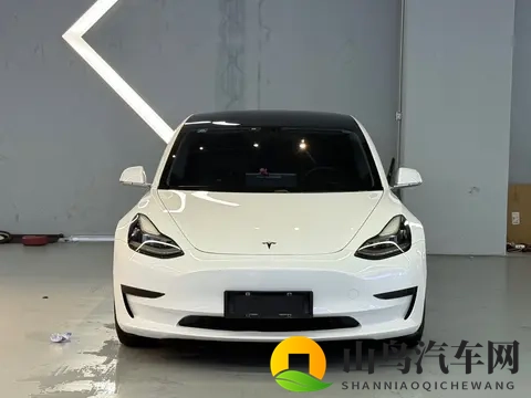 十年老司机都说值，10万拿下20款特斯拉Model3，通勤代步神器！-1