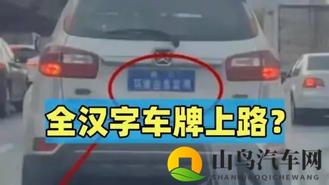 全汉字车牌上路被人举报？交警来到笑了：我真管不了-3
