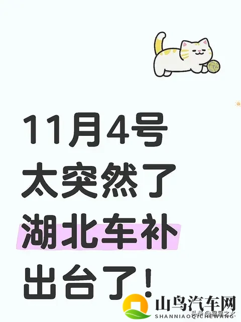 11月4号太突然了湖北车补出台了-1