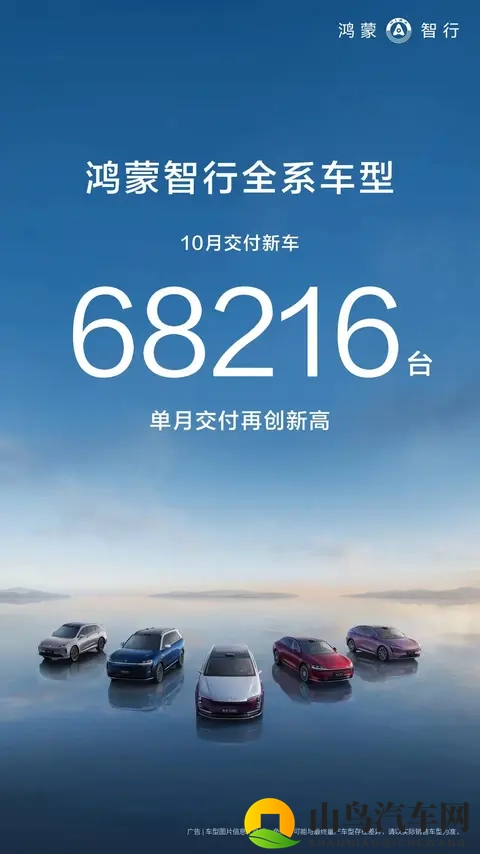 以2024年及2025年10月销量预测今年11月和明年10月新势力销量榜单-3