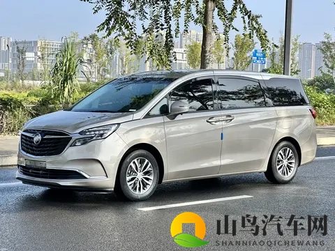 22款别克GL8陆尊：宜商宜家，20多万享受舒适出行-3