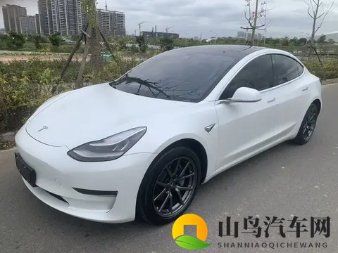 几个W开走？20年特斯拉Model3，5万公里长续航，告别里程焦虑-3