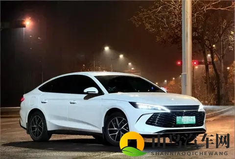 B级车大洗牌!海豹06夺冠,比亚迪老牌车型跌出前20-2