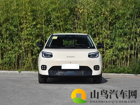 亲民版“海豚”上市！租电售价499万，续航达500Km，还支持换电-2