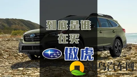 第216期：到底是谁在买斯巴鲁傲虎？-3
