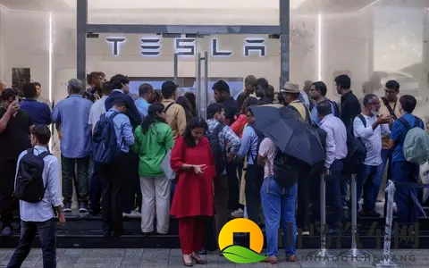 特斯拉月销量中国68万辆vs印度40辆!马斯克看傻了-2