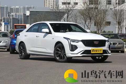 小p孩和大人作爱:汽车未来:新鲜视角下的创新与环保并行-2